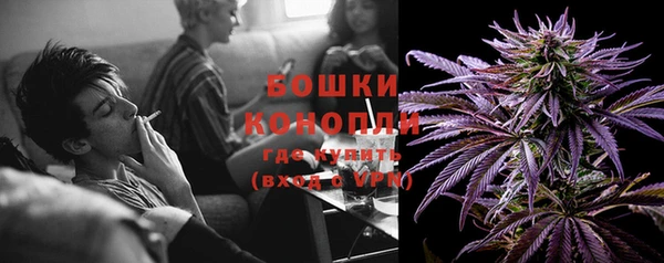 индика Тавда