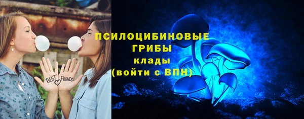 a pvp Сясьстрой