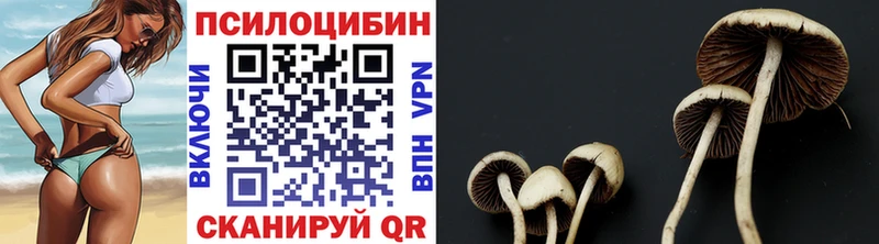 Купить  Джанкой  Псилоцибиновые грибы Psilocybe 